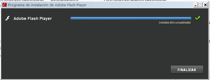 actualizacion flash player finalizada